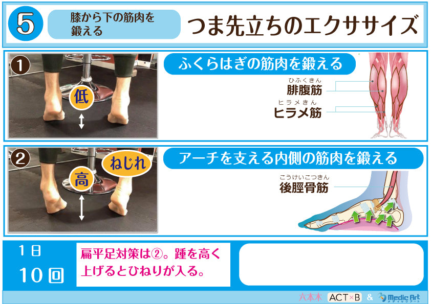 【扁平足対策】つま先立ちのエクササイズ［シート］