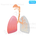 呼吸器のマーク