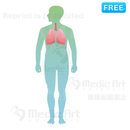 The lung is located around here