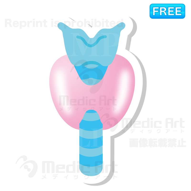 Lovely button icon of stmach the thyroid gland /F1