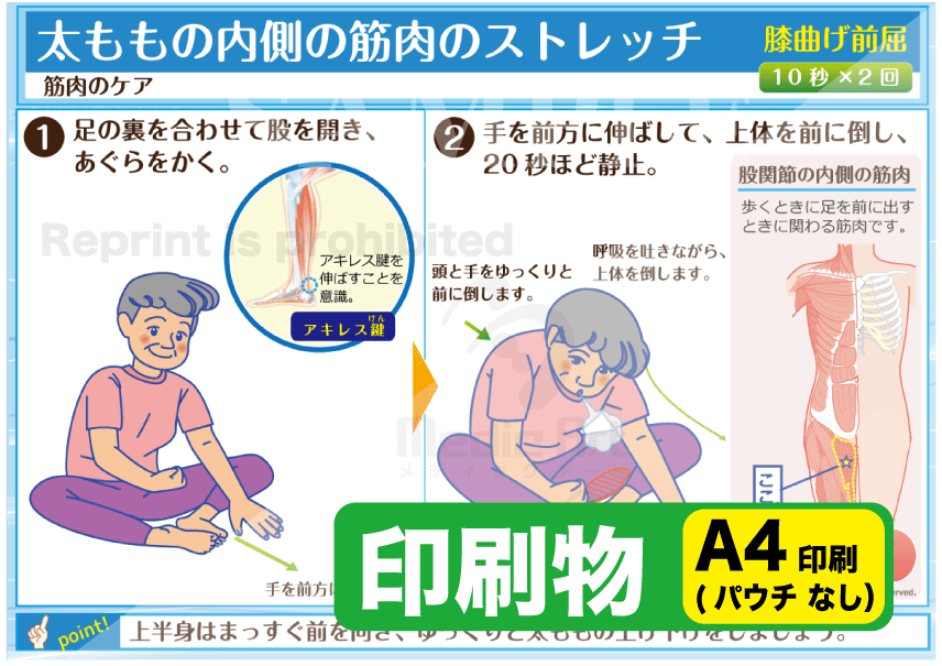 太ももの内側の筋肉のストレッチ（床に座る：膝曲げ前屈）　印刷物　専門家向け（A4）［送料込み］