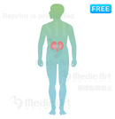 The Kidney is located around here