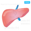 Lovely icon of liver /F1