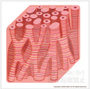 The structure of the heart muscle 1