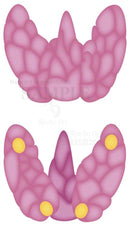 Thyroid gland and parathyroid