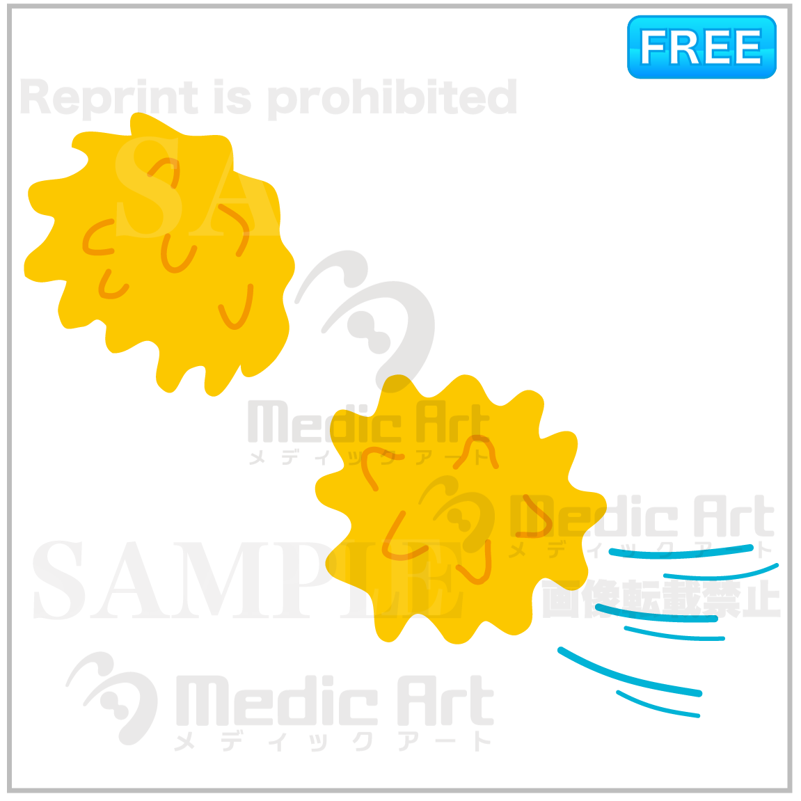 ナチュラルキラー細胞(NK細胞)