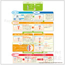 Procedure of implant treatment ［With Japanese characters］