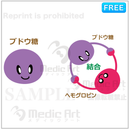 Diabetes testing 1: the protagonist of diabetes testing, dextrose