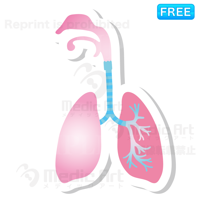 Lovely button icon of respiratory organ/F2