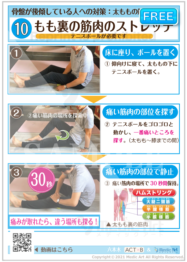 【骨盤が後傾している人への対策】もも裏の筋肉のストレッチ［シート］