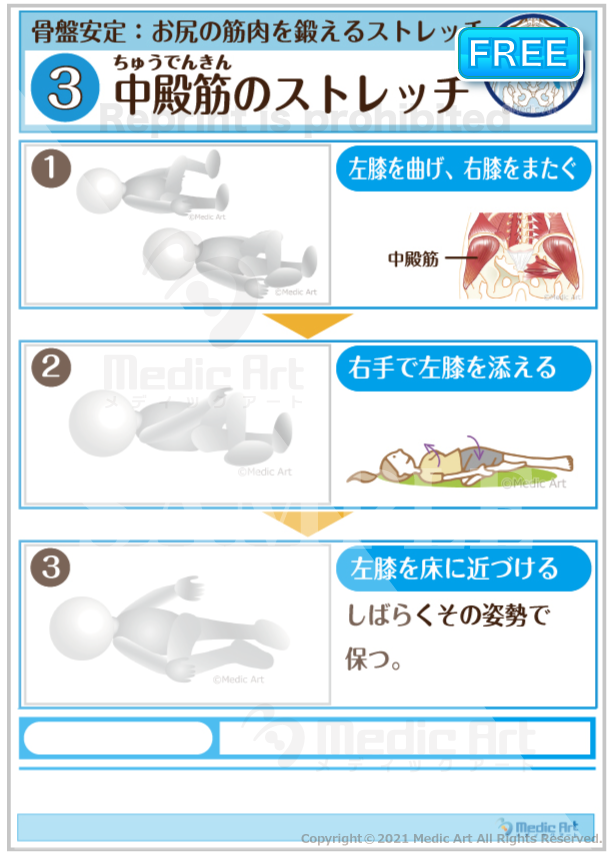 【骨盤安定】中殿筋（ちゅうでんきん）のストレッチ［シート］