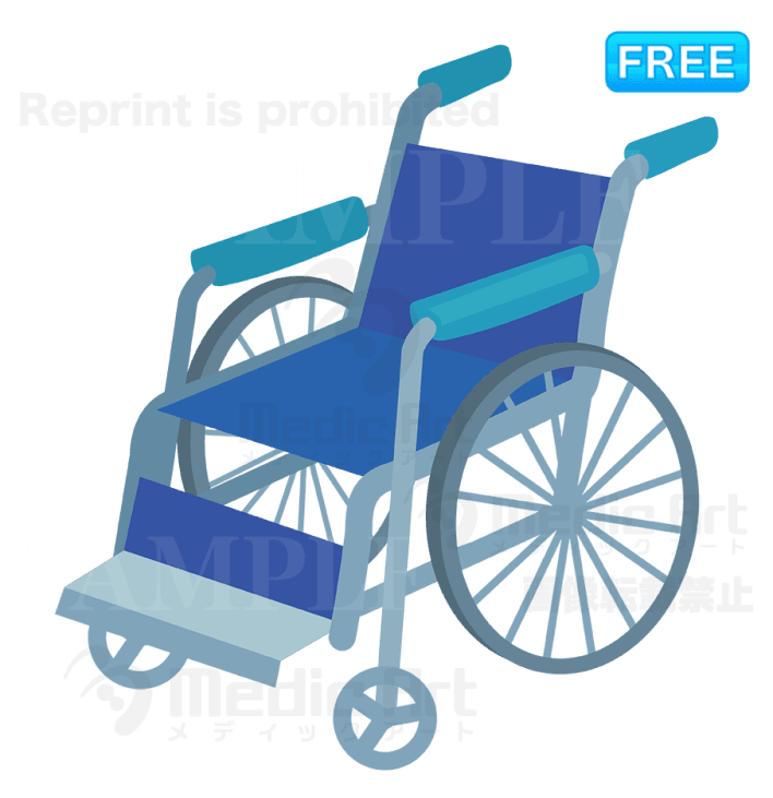 Wheelchair/F1