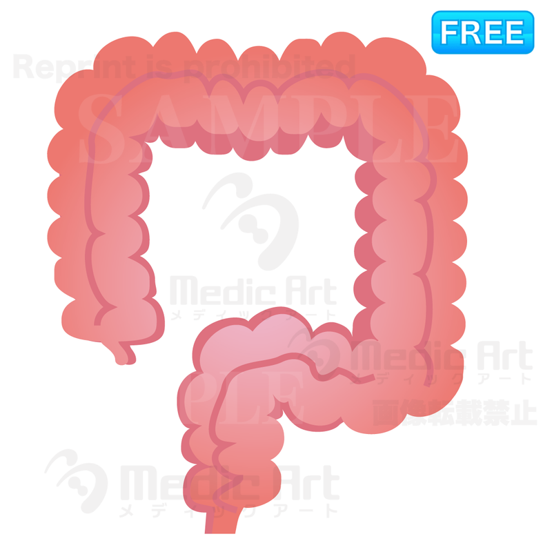 Lovely icon of the large intestine /F1